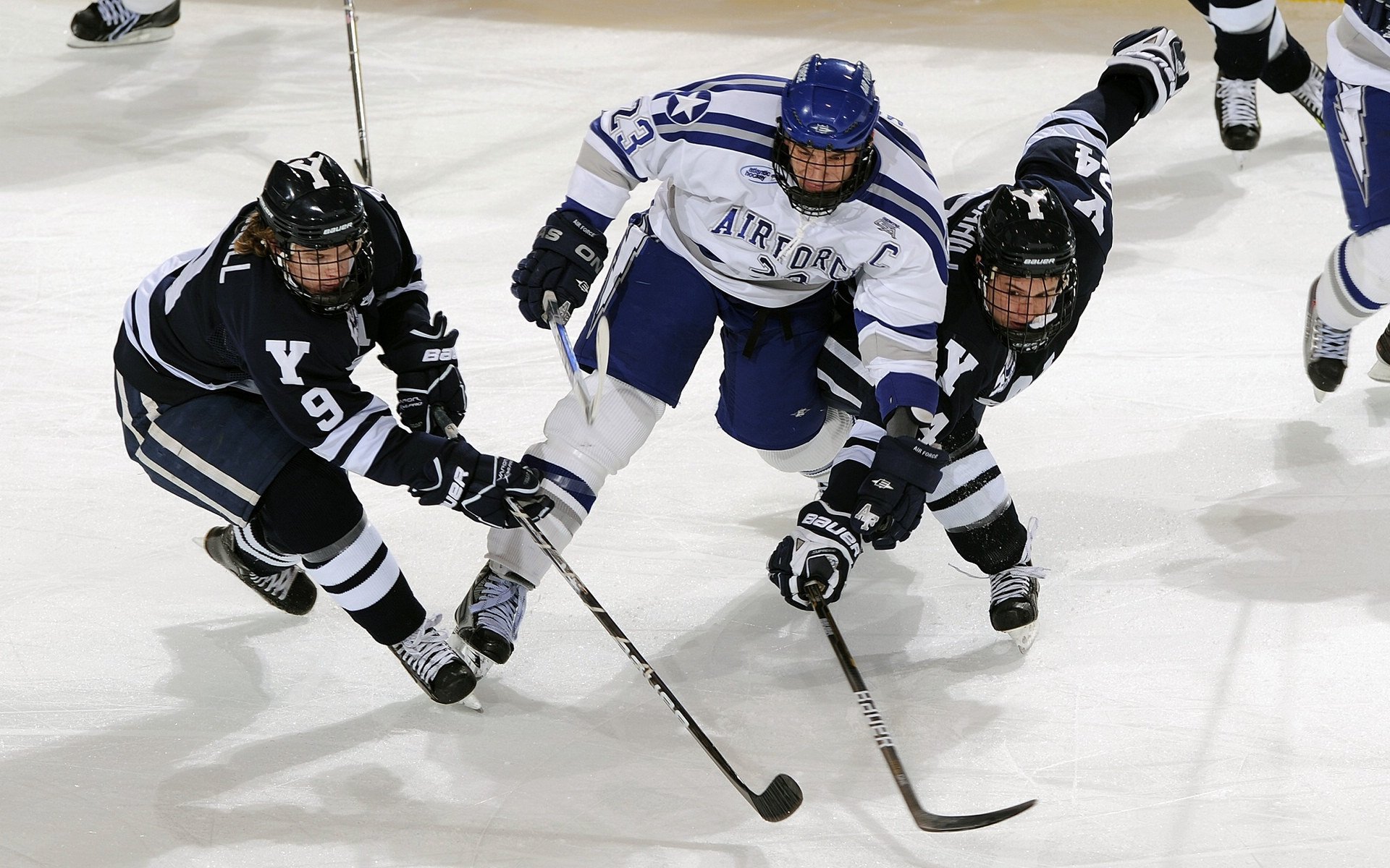 高校运动员体能训练方法研究，高校体育的运动技能目标