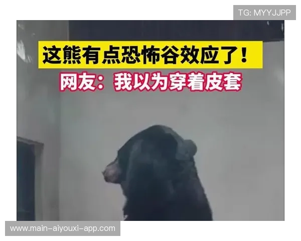 黑熊城市出没，致命伤人事件发生，黑熊怪出没的故事