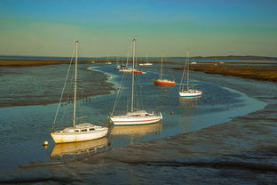 爱游戏娱乐平台-兴隆湖上演“国际艇战”，多国精英争锋